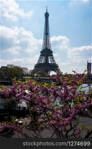Eiffel Tower at spring morning, Paris, France