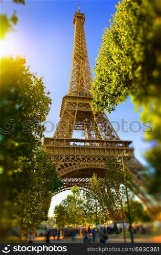 Eiffel Tower in the park in the afternoon. Paris