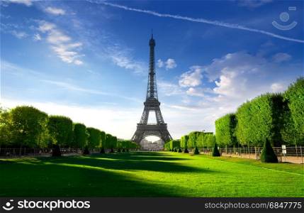Eiffel Tower on parisian Champs de Mars in the morning, France