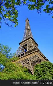 Eiffel tower seen from below with greeneries decorating