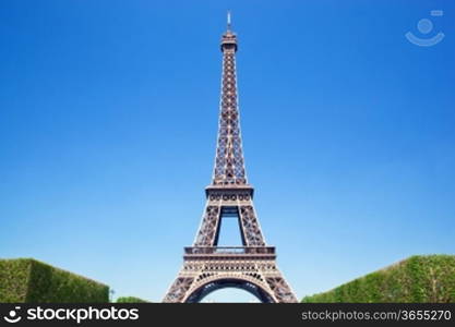 Eiffel Tower seen from Champ de Mars at a sunny summer day, Paris, France