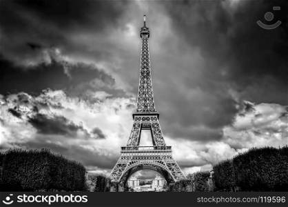 Eiffel Tower seen from Champ de Mars park in Paris, France. French Tour Eiffel in black and white. Eiffel Tower seen from Champ de Mars park in Paris, France. Black and white
