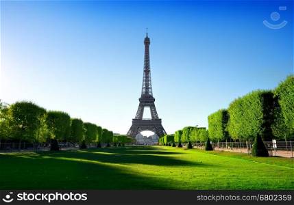 Eiffel Tower view from Champ de Mars in Paris, France