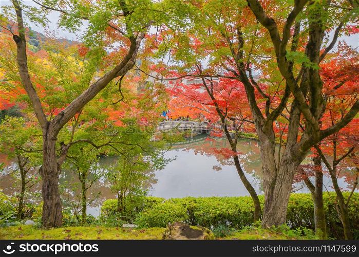 Eikando Zenrinji Temple with red maple leaves or fall foliage in autumn season. Colorful trees, Kyoto, Japan. Nature landscape background.