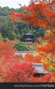 Eikando Zenrinji Temple with red maple leaves or fall foliage in autumn season. Colorful trees, Kyoto, Japan. Nature landscape background.