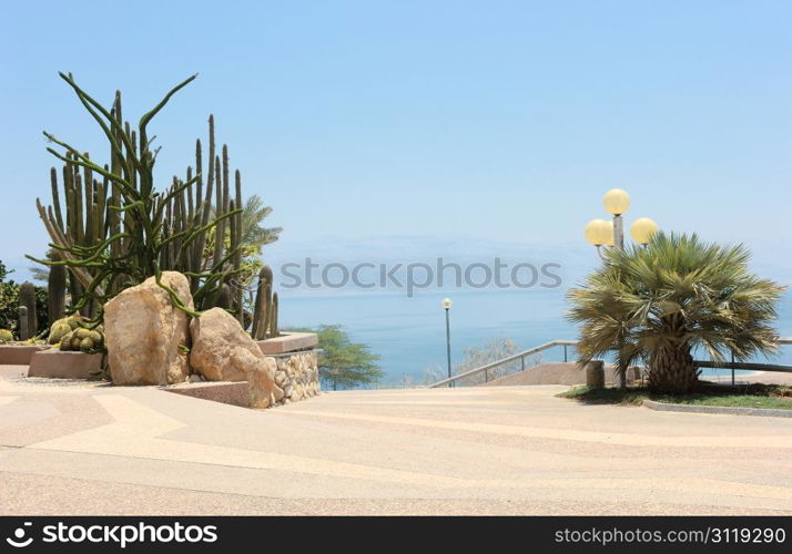 Ein Gedi - an oasis on the shore of the Dead Sea