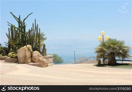Ein Gedi - an oasis on the shore of the Dead Sea