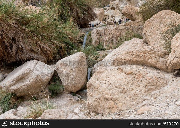 Ein Gedi,Israel,26-march-2019:people having fun at the waterfall in national park Ein Gedi at the Dead Sea in israel. people at the waterfall in national park Ein Gedi