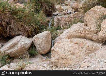 Ein Gedi,Israel,26-march-2019:people having fun at the waterfall in national park Ein Gedi at the Dead Sea in israel. people at the waterfall in national park Ein Gedi