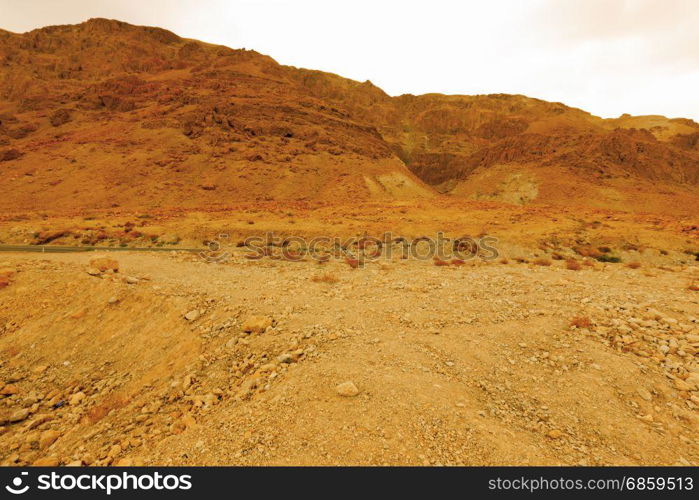 Ein Gedi Nature Reserve in Israel.