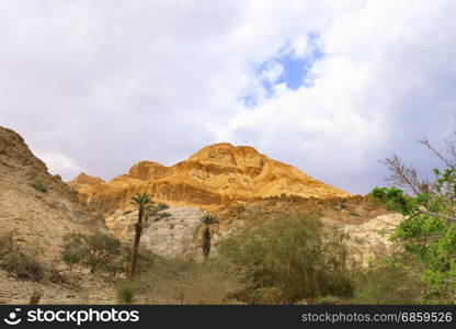 Ein Gedi Nature Reserve in Israel.