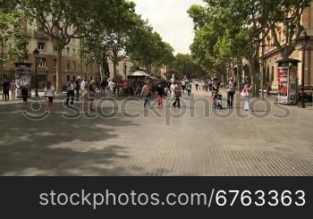 Einkaufsstrasse mit BSumen, in Barcelona.