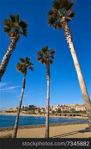 El Miracle beach palm trees in Tarragona at Costa Dorada of Catalonia