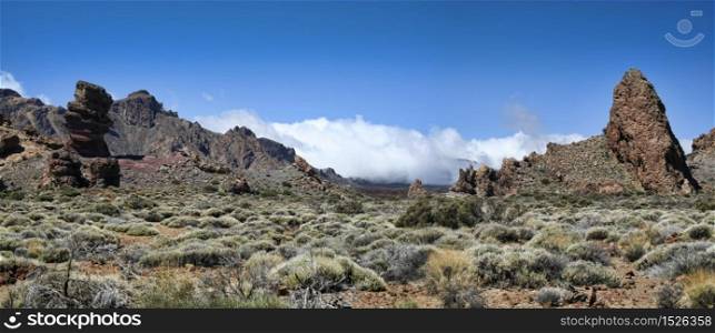 El Teide national park desert in early spring, panoramic. Desert spring panorama