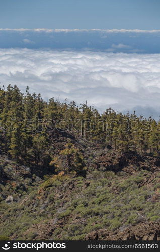 El Teide National Park, Tenerife, Canary Islands, Spain