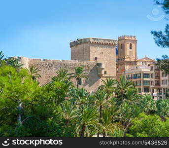 Elche Elx Alicante el Palmeral Palm trees park and Altamira Palace