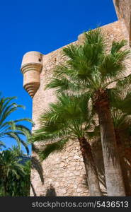 Elche Elx Alicante el Palmeral Palm trees park and Altamira Palace Spain