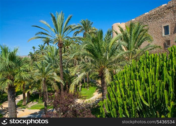 Elche Elx Alicante el Palmeral Palm trees park and Altamira Palace Spain