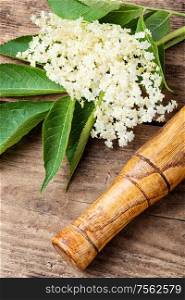Elderberry inflorescences on a wooden table.Herbal medicine. Elderberry flowers on a wooden table