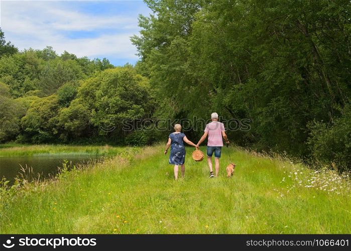 Elderly couple are carrying basket for having picnic in nature