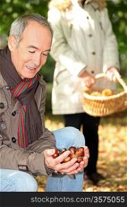 Elderly couple collecting chestnuts