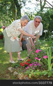 elderly couple in garden