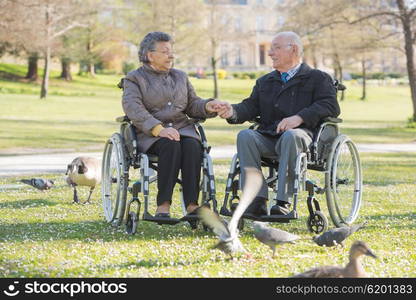 elderly couple in the park