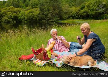 Elderly couple with dog are having picnic in nature