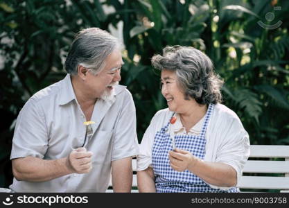 Elderly couples Cooking Healthy food together