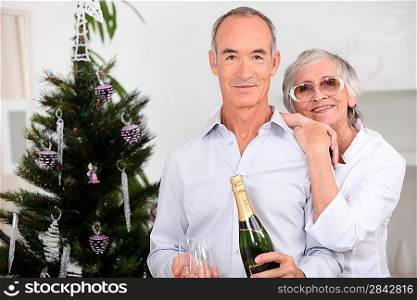 Elderly couples drinking champagne at Christmas