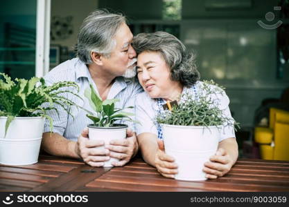 Elderly couples talking together and plant a trees in pots.