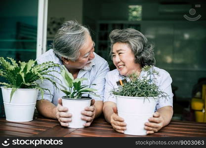 Elderly couples talking together and plant a trees in pots.