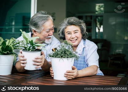 Elderly couples talking together and plant a trees in pots.