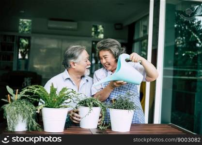 Elderly couples talking together and plant a trees in pots.