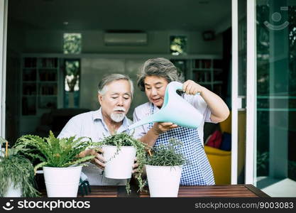 Elderly couples talking together and plant a trees in pots.