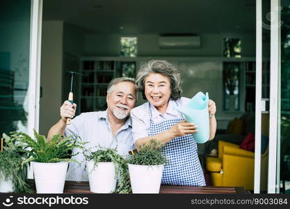 Elderly couples talking together and plant a trees in pots.