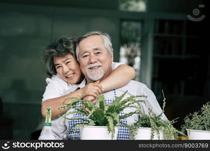 Elderly couples talking together and plant a trees in pots.