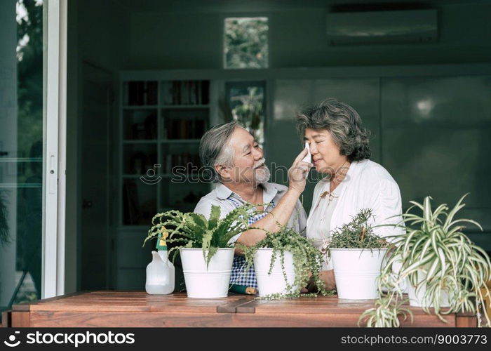 Elderly couples talking together and plant a trees in pots.