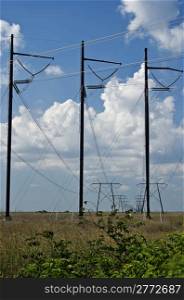 Electric conducting poles in a field against blue sky background in a rural setting.