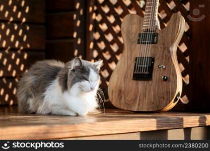Electric guitar and a cat outside on the wooden terrace