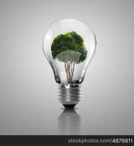 Electric light bulb and a plant inside it as symbol of green energy