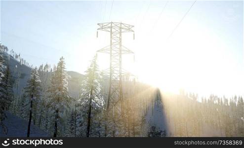 electric line at sunrise in snow covered forest