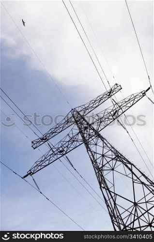 Electric power line with blue sky and gull
