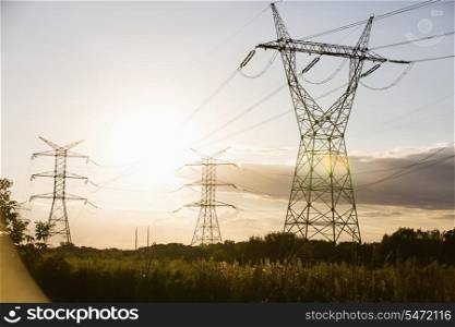 Electric power lines during summer