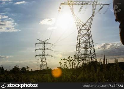Electric power lines during summer