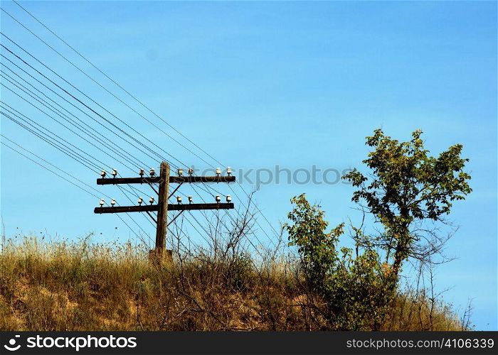 electric tower and tree