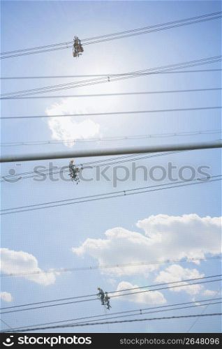 Electric Wire