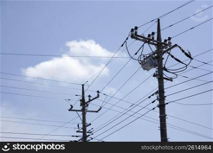Electric wires
