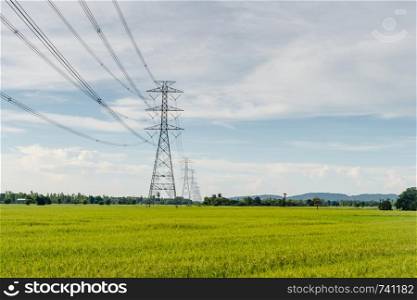 Electrical link cable with farm rice landscape
