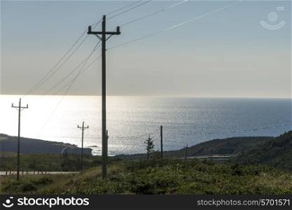 Electricity poles at coast, Birchy Head, Gros Morne National Park, Newfoundland and Labrador, Canada